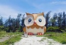 太難的貓頭鷹飛下山 近距離耍萌引發游客搶拍