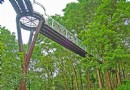 花仙子天空走廊 竹崎五大景點鐵道之旅