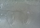 金沙灘