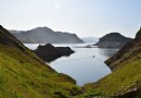 小韭菜溝