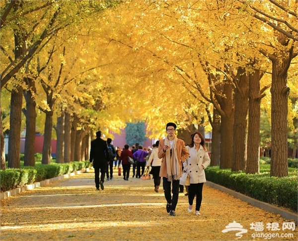 雍和宮景點圖片 雍和宮景點圖片