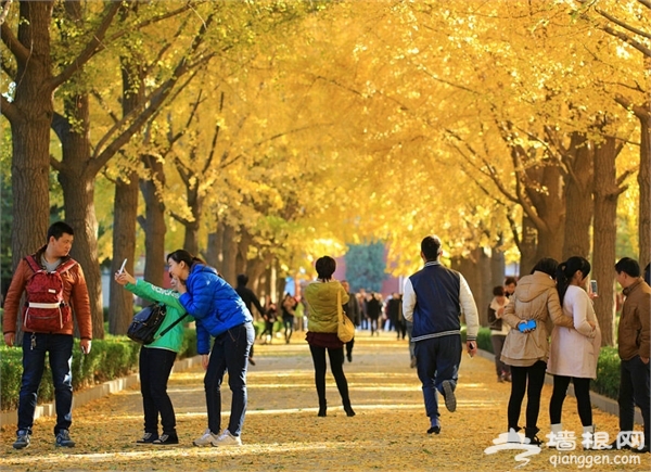 雍和宮自助游圖片 雍和宮自助游圖片