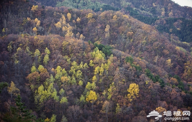 2014初冬賞涞源的最美山色 體驗驚險白石山玻璃棧道