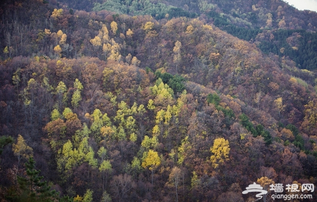 2014初冬賞涞源的最美山色 體驗驚險白石山玻璃棧道 