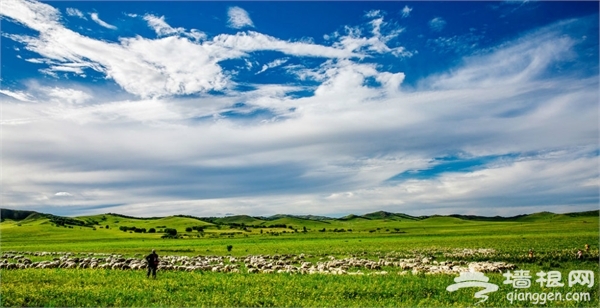 烏蘭布統草原景點圖片