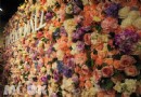 台北101隱身美食街大花牆 風尚書報攤棉花糖掀打卡熱